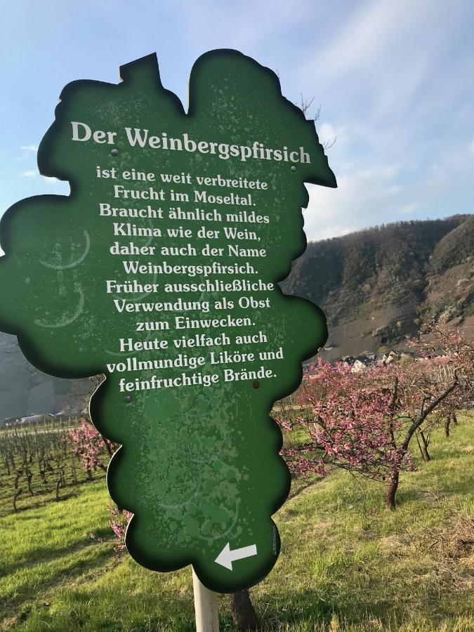 Residenz Moselzauber - Ferienwohnungen Mit Pool Landschaft Ernst Exteriör bild