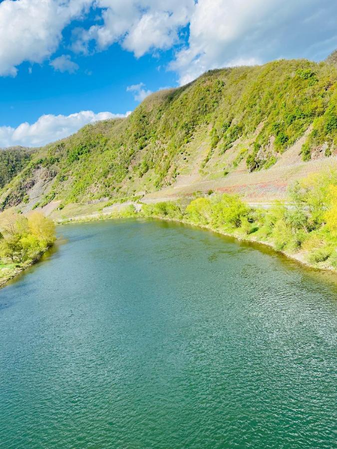 Residenz Moselzauber - Ferienwohnungen Mit Pool Landschaft Ernst Exteriör bild