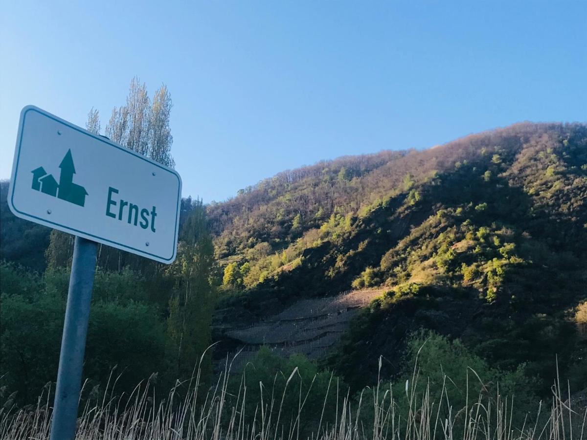 Residenz Moselzauber - Ferienwohnungen Mit Pool Landschaft Ernst Exteriör bild