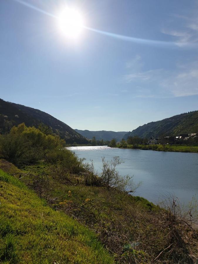 Residenz Moselzauber - Ferienwohnungen Mit Pool Landschaft Ernst Exteriör bild