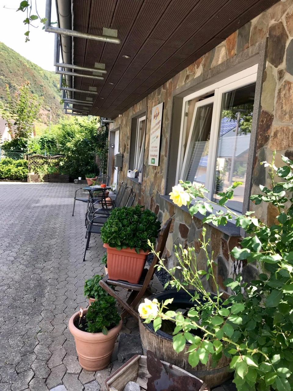 Residenz Moselzauber - Ferienwohnungen Mit Pool Landschaft Ernst Exteriör bild